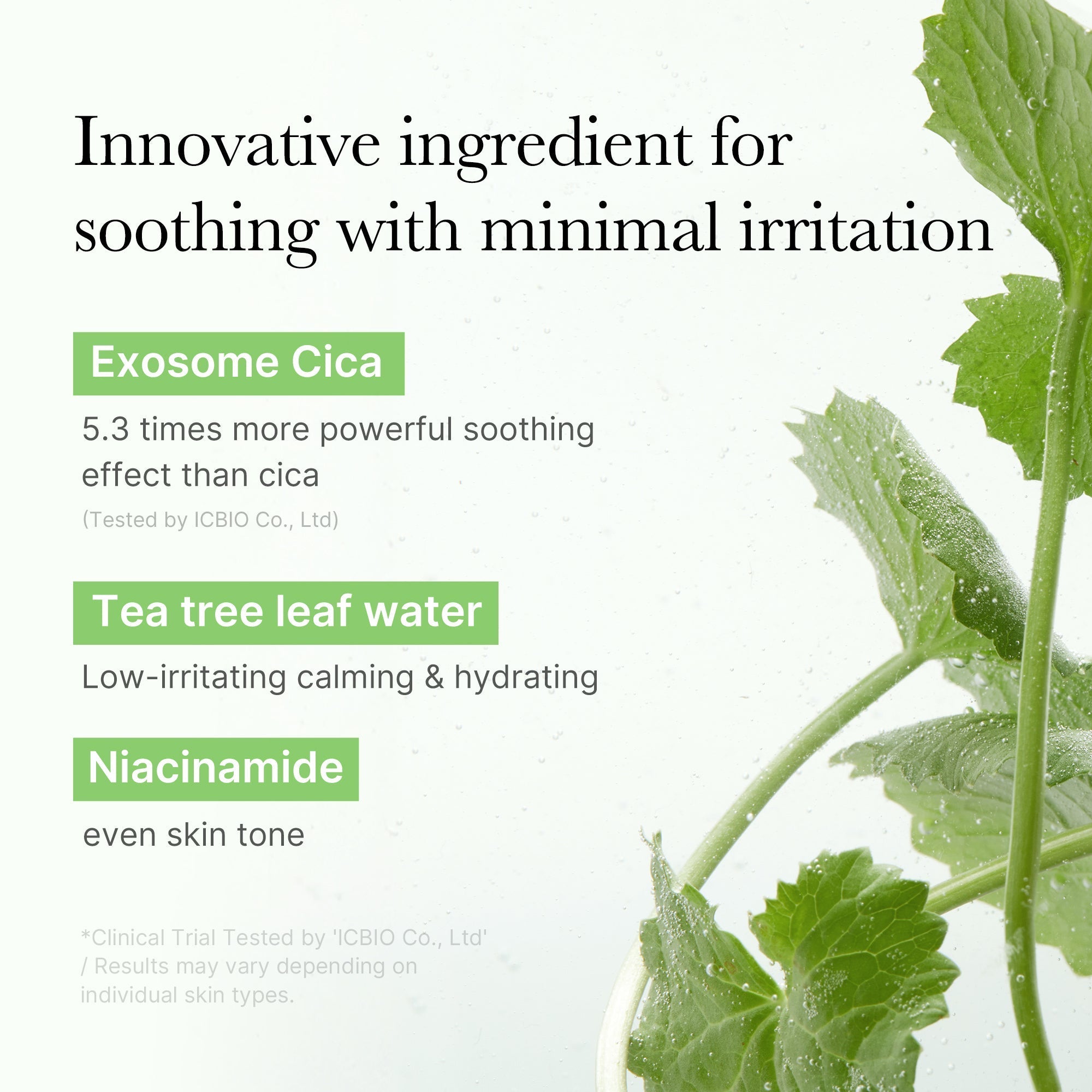 Exosome Cica Calming Toner Pads - Daily Beauty Care