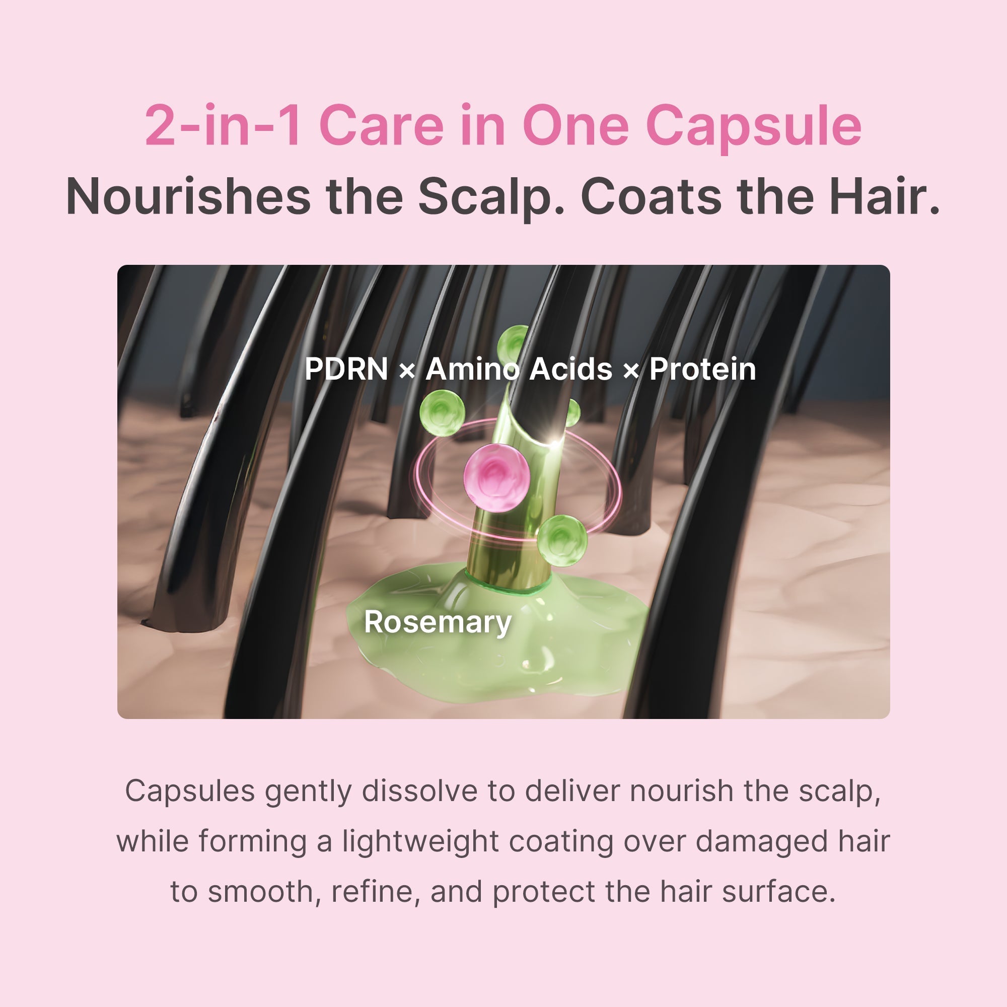 Rosemary PDRN Hair & Scalp Conditioner - Daily Care Favorites